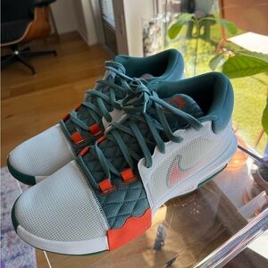 Nike LeBron Witness VIII (new in box)